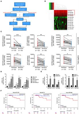 Exploring Specific miRNA-mRNA Axes With Relationship to Taxanes-Resistance in Breast Cancer